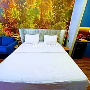 50 ლარი ღამე, ბინა დღიურად