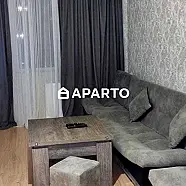 50 ლარი ღამე, ბინა დღიურად