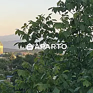 40 ლარი ღამე, ბინა დღიურად