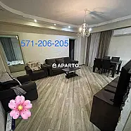 50 ლარი ღამე, ბინა დღიურად