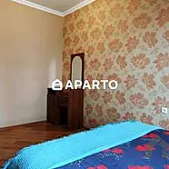 40 ლარი ღამე, ბინა დღიურად