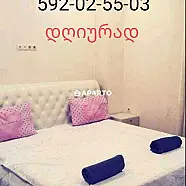 40 ლარი ღამე, ბინა დღიურად