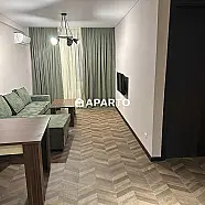 70 ლარი ღამე, ბინა დღიურად