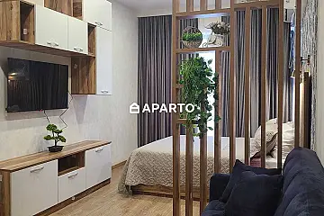 50 ლარი ღამე, ბინა დღიურად