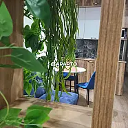50 ლარი ღამე, ბინა დღიურად
