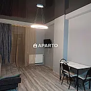 90 ლარი ღამე, ბინა დღიურად