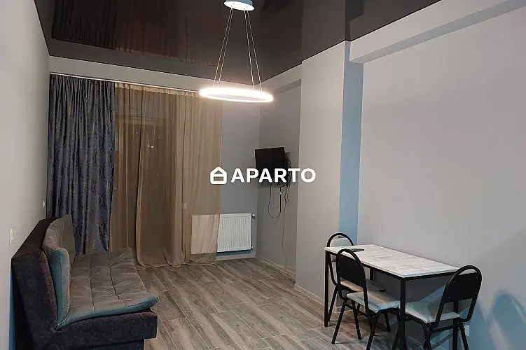 90 ლარი ღამე, ბინა დღიურად