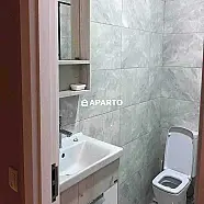50 ლარი ღამე, ბინა დღიურად