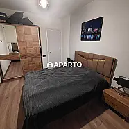 250 ლარი ღამე, ბინა დღიურად
