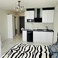 120 ლარი ღამე, ბინა დღიურად