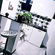 20 ლარი ღამე, ბინა დღიურად