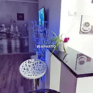 20 ლარი ღამე, ბინა დღიურად