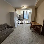 120 ლარი ღამე, ბინა დღიურად