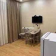 60 ლარი ღამე, ბინა დღიურად