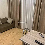 60 ლარი ღამე, ბინა დღიურად