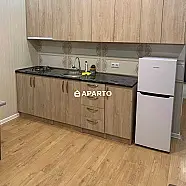 60 ლარი ღამე, ბინა დღიურად
