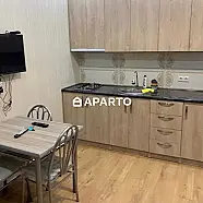 60 ლარი ღამე, ბინა დღიურად