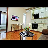 120 ლარი ღამე, ბინა დღიურად