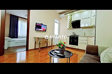 120 ლარი ღამე, ბინა დღიურად
