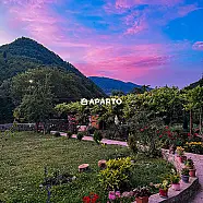 50 ლარი ღამე, ბინა დღიურად