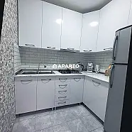 50 ლარი ღამე, ბინა დღიურად