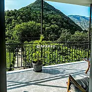 50 ლარი ღამე, ბინა დღიურად