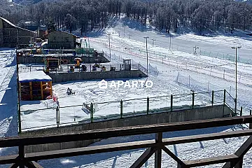 70 ლარი ღამე, ბინა დღიურად
