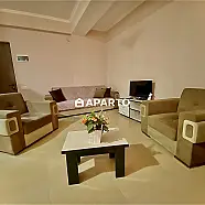 120 ლარი ღამე, ბინა დღიურად