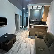 200 ლარი ღამე, ბინა დღიურად
