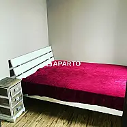 150 ლარი ღამე, ბინა დღიურად