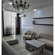 160 ლარი ღამე, ბინა დღიურად
