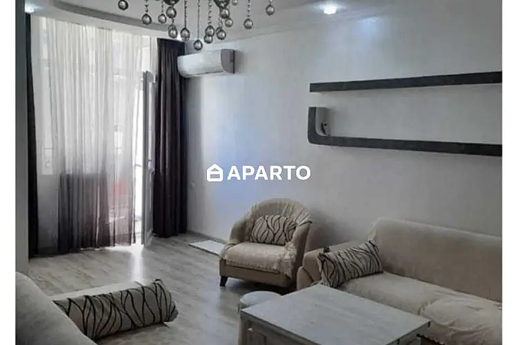 160 ლარი ღამე, ბინა დღიურად