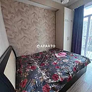 50 ლარი ღამე, ბინა დღიურად