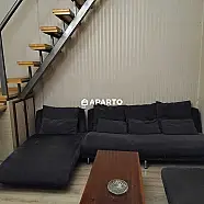 50 ლარი ღამე, ბინა დღიურად