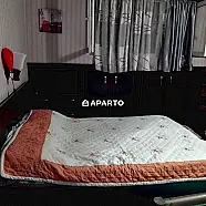 50 ლარი ღამე, ბინა დღიურად