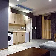 100 ლარი ღამე, ბინა დღიურად