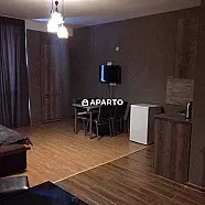 80 ლარი ღამე, ბინა დღიურად