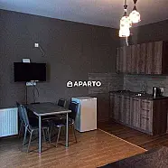 80 ლარი ღამე, ბინა დღიურად