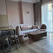 100 ლარი ღამე, ბინა დღიურად
