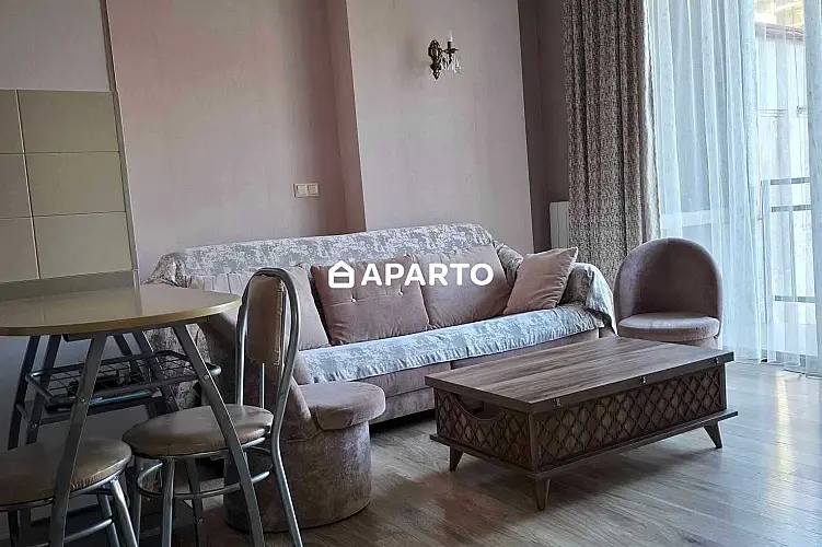 130 ლარი ღამე, ბინა დღიურად