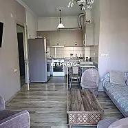 100 ლარი ღამე, ბინა დღიურად