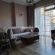 100 ლარი ღამე, ბინა დღიურად