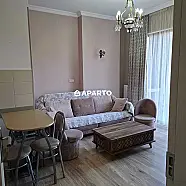 100 ლარი ღამე, ბინა დღიურად