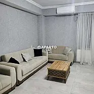 30 ლარი ღამე, ბინა დღიურად
