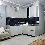 30 ლარი ღამე, ბინა დღიურად