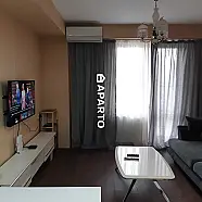 30 ლარი ღამე, ბინა დღიურად