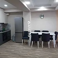 30 ლარი ღამე, ბინა დღიურად