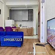 50 ლარი ღამე, ბინა დღიურად