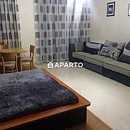 80 ლარი ღამე, ბინა დღიურად