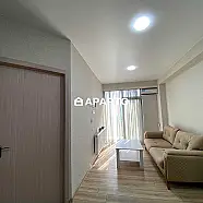 50 ლარი ღამე, ბინა დღიურად